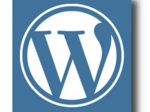 WordPress.webp
